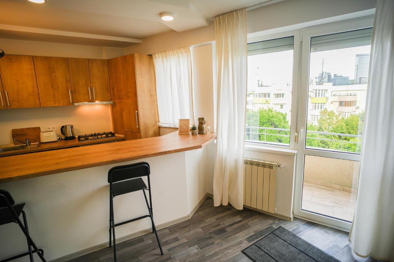 Penthouse With Huge Rooftop & Amazing City View Boekarest Buitenkant foto